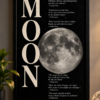 Moon Quote Framed Wall Art Poster